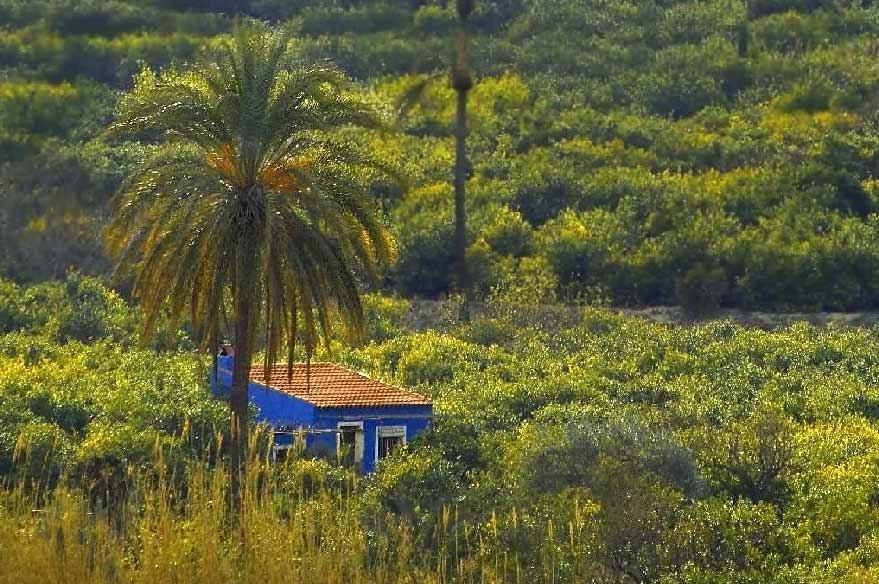 Sol Mediterraneo Archena Exterior photo