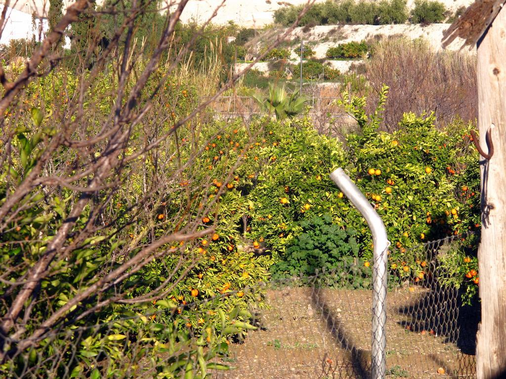 Sol Mediterraneo Archena Exterior photo